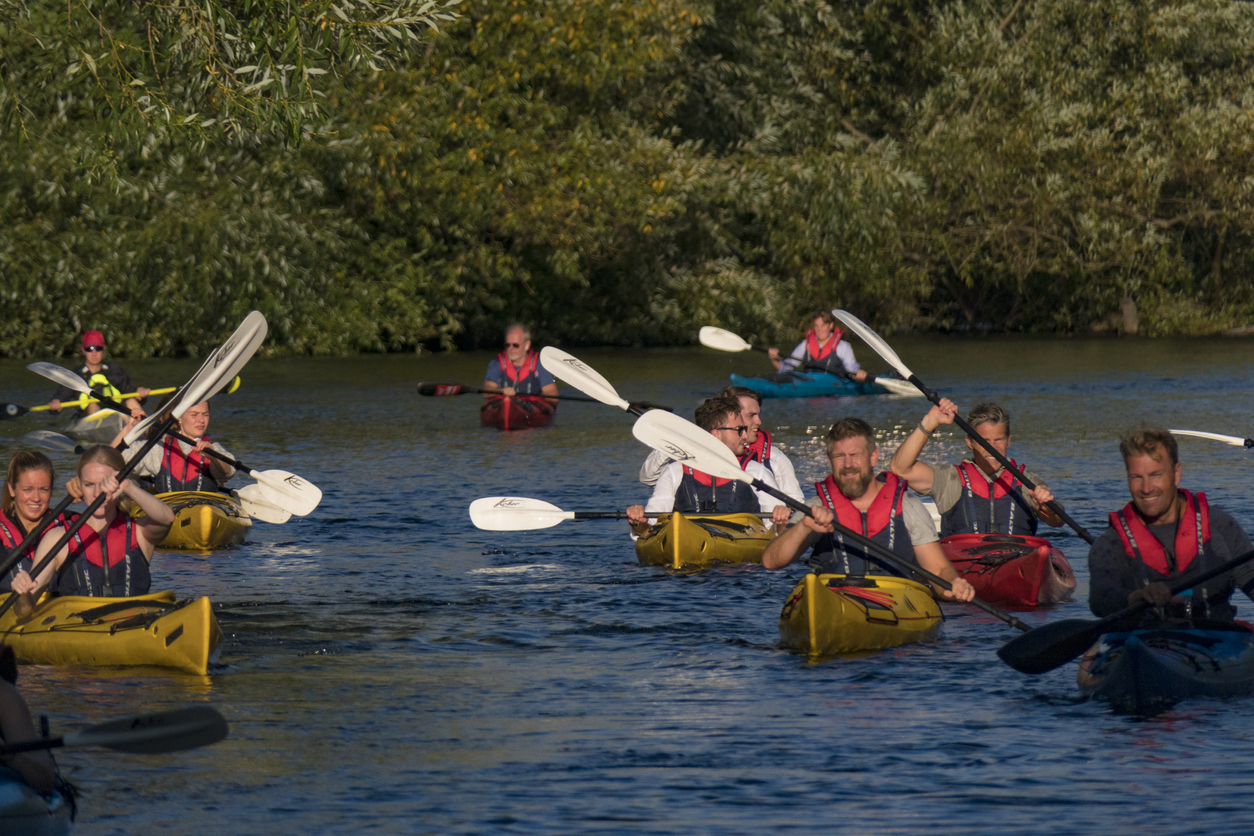Grupp paddlar kanot