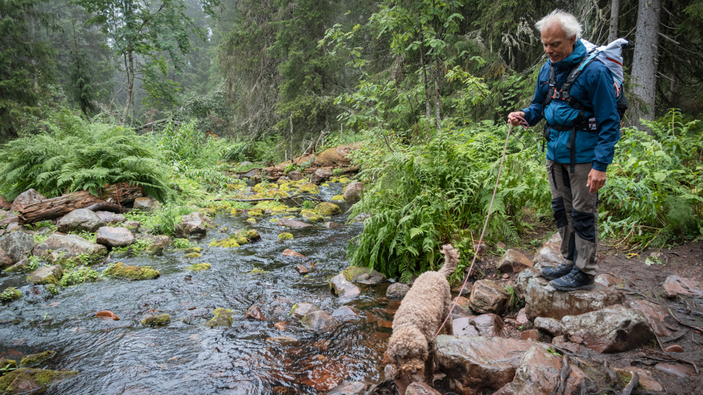 Man och hund vid bäck i skogen